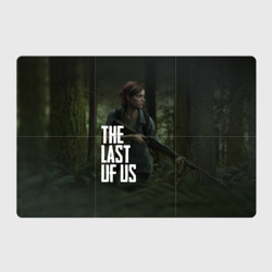 Магнитный плакат 3Х2 The Last of Us Элли Одни из Нас Ellie