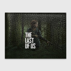 Обложка для студенческого билета The Last of Us Элли Одни из Нас Ellie