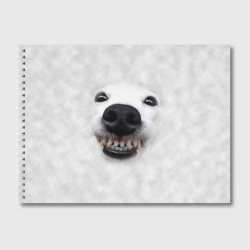 Альбом для рисования Собака - улыбака