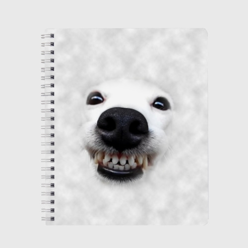 Тетрадь с принтом Собака — улыбака, вид спереди №1