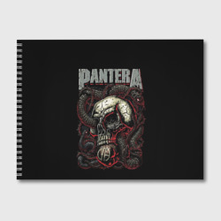Альбом для рисования Pantera
