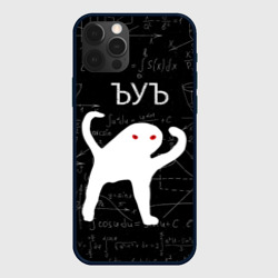 Чехол для iPhone 12 Pro ЪУЪ математика