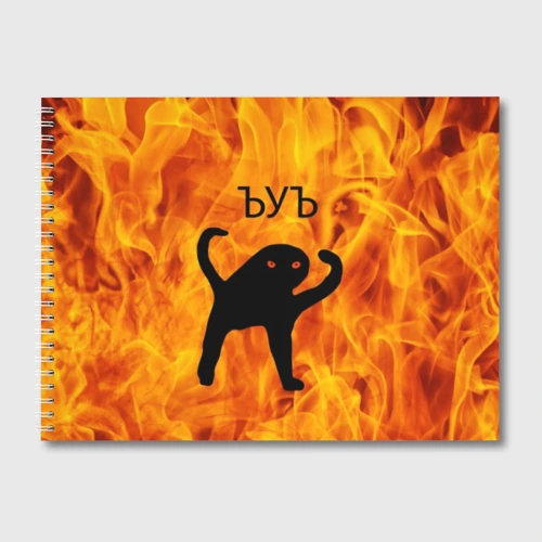 У сюка картинка