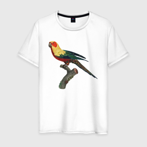 Мужская футболка из хлопка с принтом Попугай аратинга, вид спереди №1