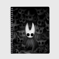 Тетрадь Hollow Knight