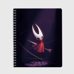 Тетрадь Hollow Knight