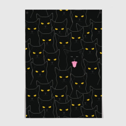 Постер Чёрные коты