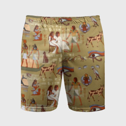 Мужские шорты спортивные Египетские Боги