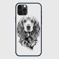 Чехол для iPhone 12 Pro Кокер спаниель - портрет