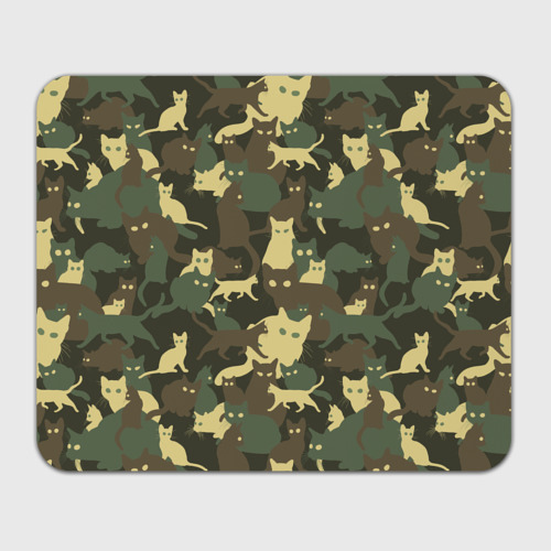 Кошачий камуфляж. Кот камуфляж. Кот камуфляж. Кошачий камуфляж. Камуфляжный кот.