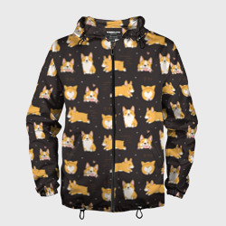 Мужская ветровка 3D Вельш корги бемброк - забавные щенки паттерн