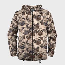 Мужская ветровка 3D Мопсы - паттерн