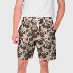 Мужские шорты 3D Мопсы - паттерн
