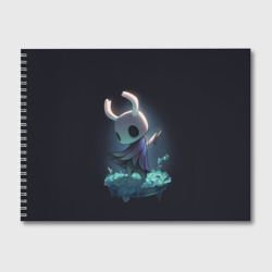 Альбом для рисования Hollow Knight