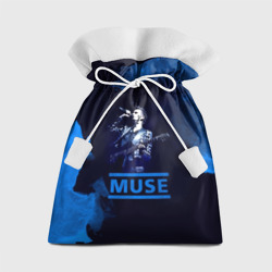 Подарочный 3D мешок Muse