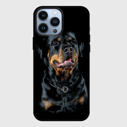 Чехол для iPhone 13 Pro Max Ротвейлер