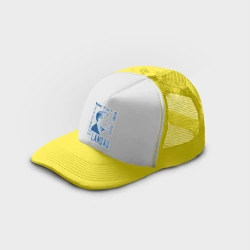 Кепка тракер с сеткой Лев Ландау - фото 2