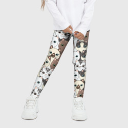 Детские леггинсы 3D Котики - фото 2