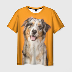 Австралийская овчарка оранжевый фон – Мужская футболка 3D с принтом купить со скидкой в -26%