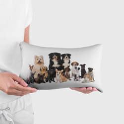 Подушка 3D антистресс Породистые собаки - фото 2