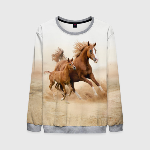 Мужской свитшот 3D Лошадь с жеребенком, цвет меланж