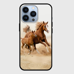 Чехол для iPhone 13 Pro Лошадь с жеребенком