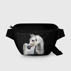 Поясная сумка 3D Серый в яблоках конь