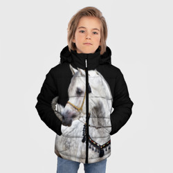 Зимняя куртка для мальчиков 3D Серый в яблоках конь - фото 2