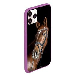 Чехол для iPhone 11 Pro Max матовый Гнедая лошадь - фото 2