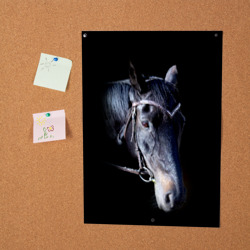 Постер Конь вороной - фото 2
