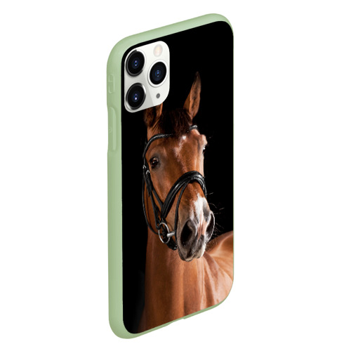 Чехол для iPhone 11 Pro матовый Гнедая лошадь, цвет салатовый - фото 3