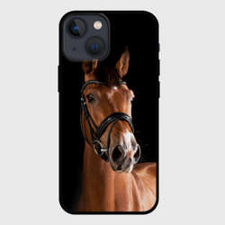 Чехол для iPhone 13 mini Гнедая лошадь