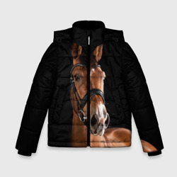 Зимняя куртка для мальчиков 3D Гнедая лошадь