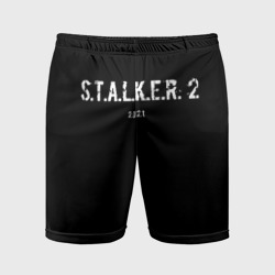 Мужские шорты спортивные Сталкер 2