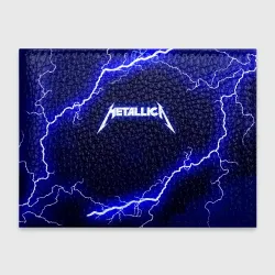 Обложка для студенческого билета Metallica Металлика