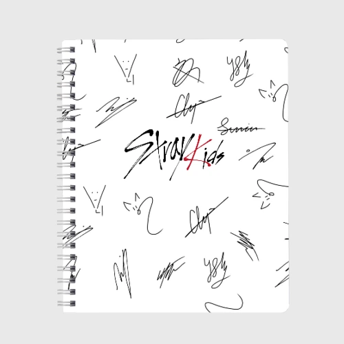 Тетрадь Stray kids автографы