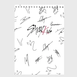 Скетчбук Stray kids автографы
