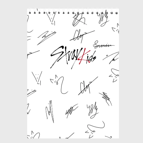Скетчбук Stray kids автографы