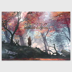 Поздравительная открытка Sekiro спина