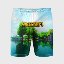 Мужские шорты спортивные Minecraft