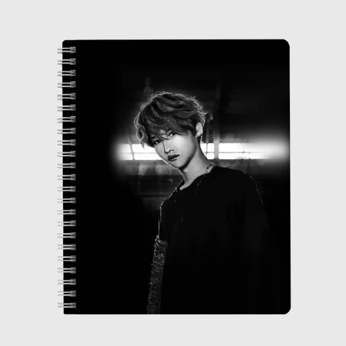 Тетрадь Stray Kids