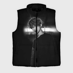Мужской жилет утепленный 3D Stray Kids
