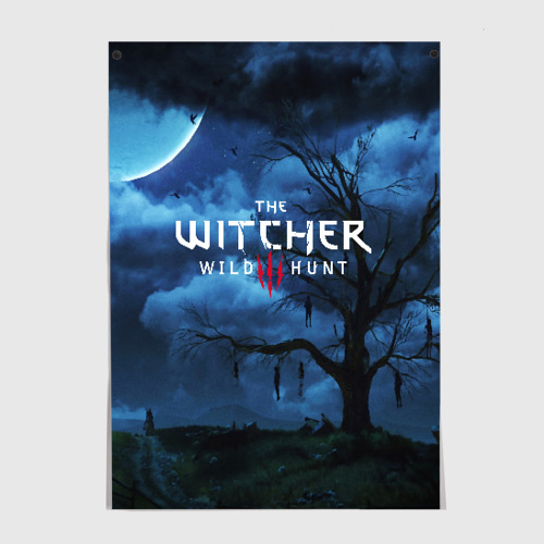 Постер The Witcher 3:wild hunt