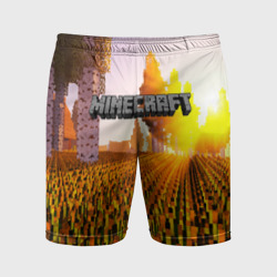 Мужские шорты спортивные Minecraft