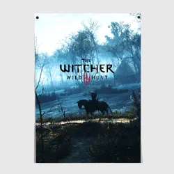 Постер The Witcher