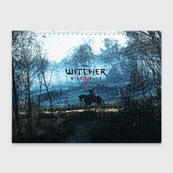 Обложка для студенческого билета The Witcher