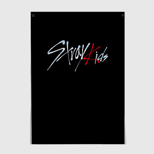 Постер Stray Kids