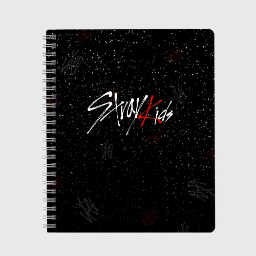 Тетрадь Stray kids