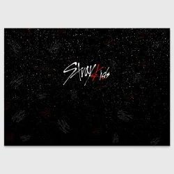 Поздравительная открытка Stray kids