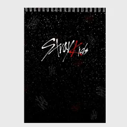 Скетчбук Stray kids